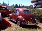 Beetle Show Rioz (70)